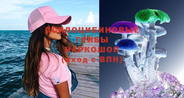 круглые Абаза