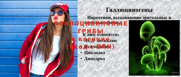 spice Новодвинск