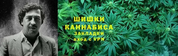spice Новодвинск