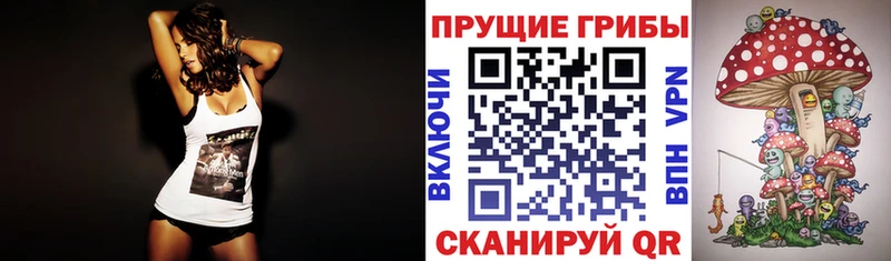 Псилоцибиновые грибы Magic Shrooms hydra вход Сычёвка